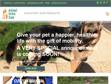 Tablet Screenshot of animalorthocare.com